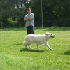 obeissance 2014-08-02